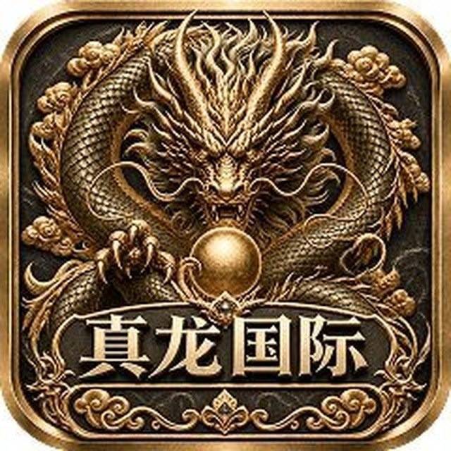 真龙国际